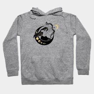 Black and Gold Zodiac Sign SAGITTARIUS Hoodie